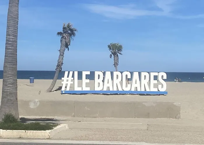 Daire Renove En Bord De Avec Terrasse, Acces Direct A La Plage, Parking Prive, Wifi - Fr-1-782-62 Le Barcarès