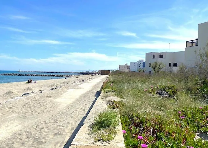 Daire Renove En Bord De Avec Terrasse, Acces Direct A La Plage, Parking Prive, Wifi - Fr-1-782-62