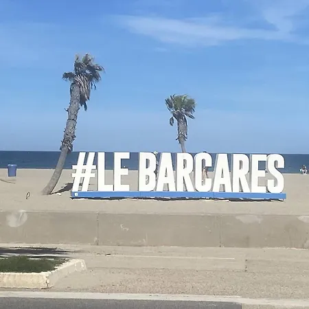 Apartmán Renove En Bord De Avec Terrasse, Acces Direct A La Plage, Parking Prive, Wifi - Fr-1-782-62 Le Barcarès