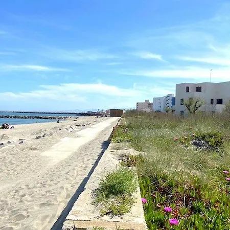 Apartment Renove En Bord De Avec Terrasse, Acces Direct A La Plage, Parking Prive, Wifi - Fr-1-782-62