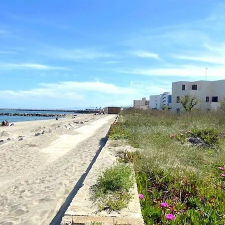 Renove En Bord De Avec Terrasse, Acces Direct A La Plage, Parking Prive, Wifi - Fr-1-782-62 * Le Barcares
