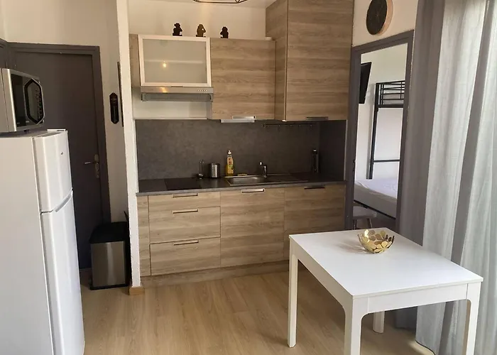 Renove En Bord De Avec Terrasse, Acces Direct A La Plage, Parking Prive, Wifi - Fr-1-782-62 Le Barcarès