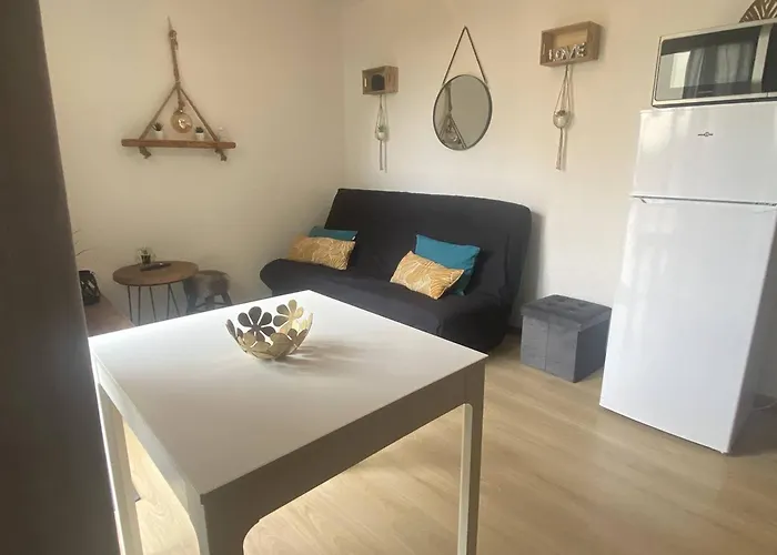 Lejlighed Renove En Bord De Avec Terrasse, Acces Direct A La Plage, Parking Prive, Wifi - Fr-1-782-62 Le Barcarès